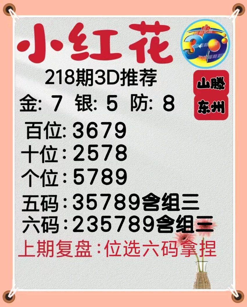 2026218期山东滕州小红花福彩3D推荐